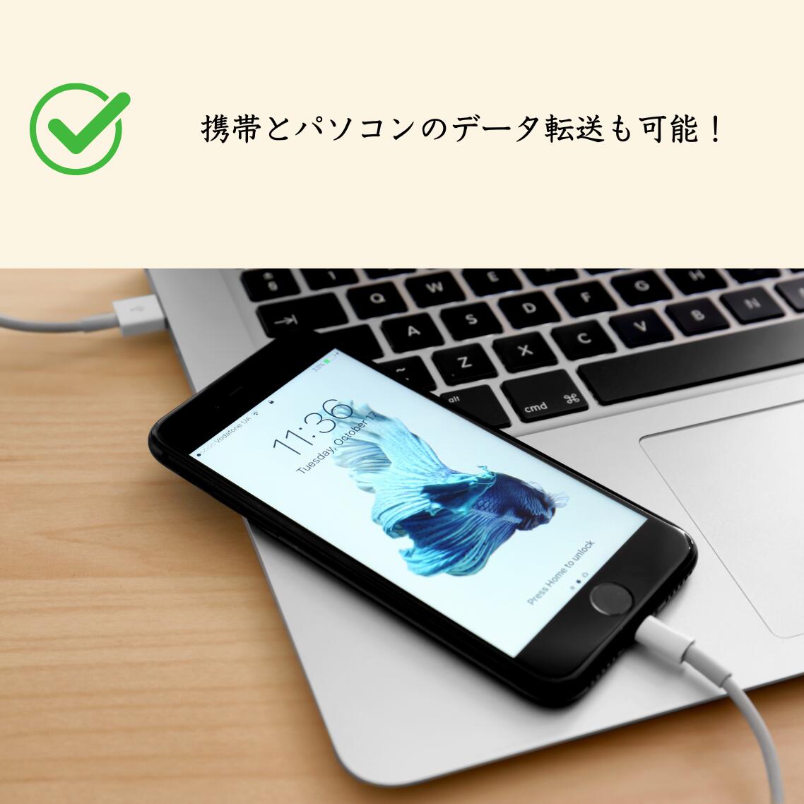 �ڰ¿���30���ݾ��դ��� ����š� iphone �������б� ������C�����֥� ������B�����֥� 50cm 1m 2m 3m cable ����ü�� ���ޡ��ȥե��� ���ӽ��Ŵ� ���ޥ� ���� ��®���� ���Ŵ� �����֥� ���ť����� ���Ŵ辰���֥� �饤�ȥ˥󥰥����֥� �饤�ȥ˥��� Lightningü��