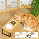 キャティーマン にゃんこのでるでる自飯器(1個)【キャティーマン】