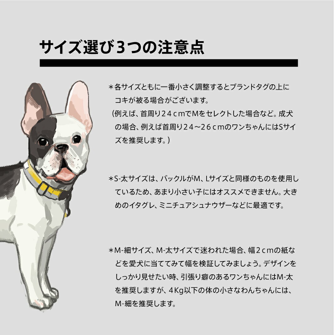 ciironTOKYO【首輪Lサイズ】首周り32~56cm幅2.5cm犬日本製オシャレカラー小型犬中型犬大型犬シンプルポリエステル素材