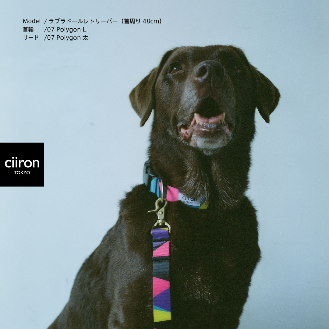 ciironTOKYO首輪サイズ犬日本製オシャレカラー小型犬中型犬大型犬シンプルポリエステル素材