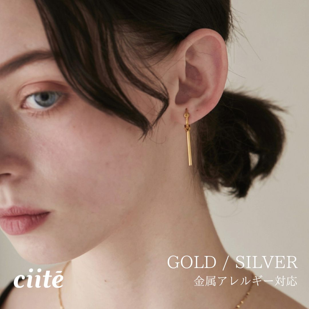 金属アレルギー対応 モチーフイヤリング サージカルステンレス (両耳用) レディース アクセサリー 結婚式 パーティー 誕生日 プレゼント シルバー ゴールド ピンクゴールド シンプル