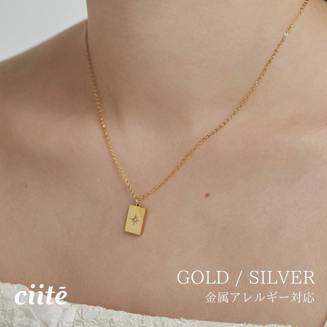 Rakuten - 金属アレルギー対応 ビジュープレートネックレス サージカルステンレス レディース アクセサリー 結婚式 パーティー 誕生日 プレゼント シルバー ゴールド ピンクゴールド シンプル