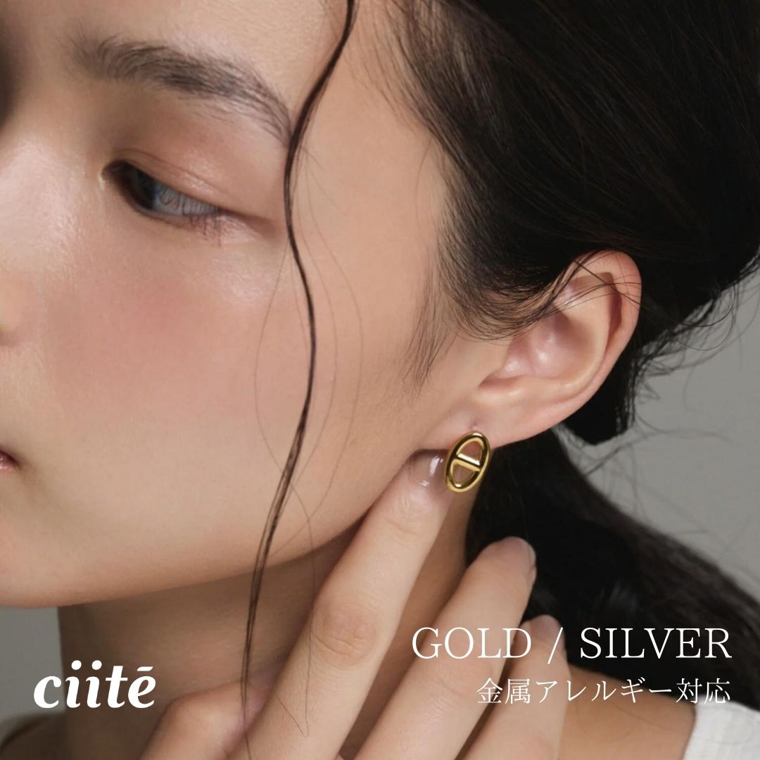 樂天商城 - 金属アレルギー対応 モチーフピアス サージカルステンレス (両耳用) レディース アクセサリー 結婚式 パーティー 誕生日 プレゼント シルバー ゴールド ピンクゴールド シンプル