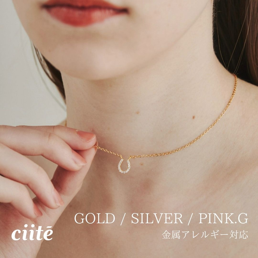 金属アレルギー対応 ホースビジューネックレス サージカルステンレス レディース アクセサリー 結婚式 パーティー 誕生日 プレゼント シルバー ゴールド ピンクゴールド シンプル