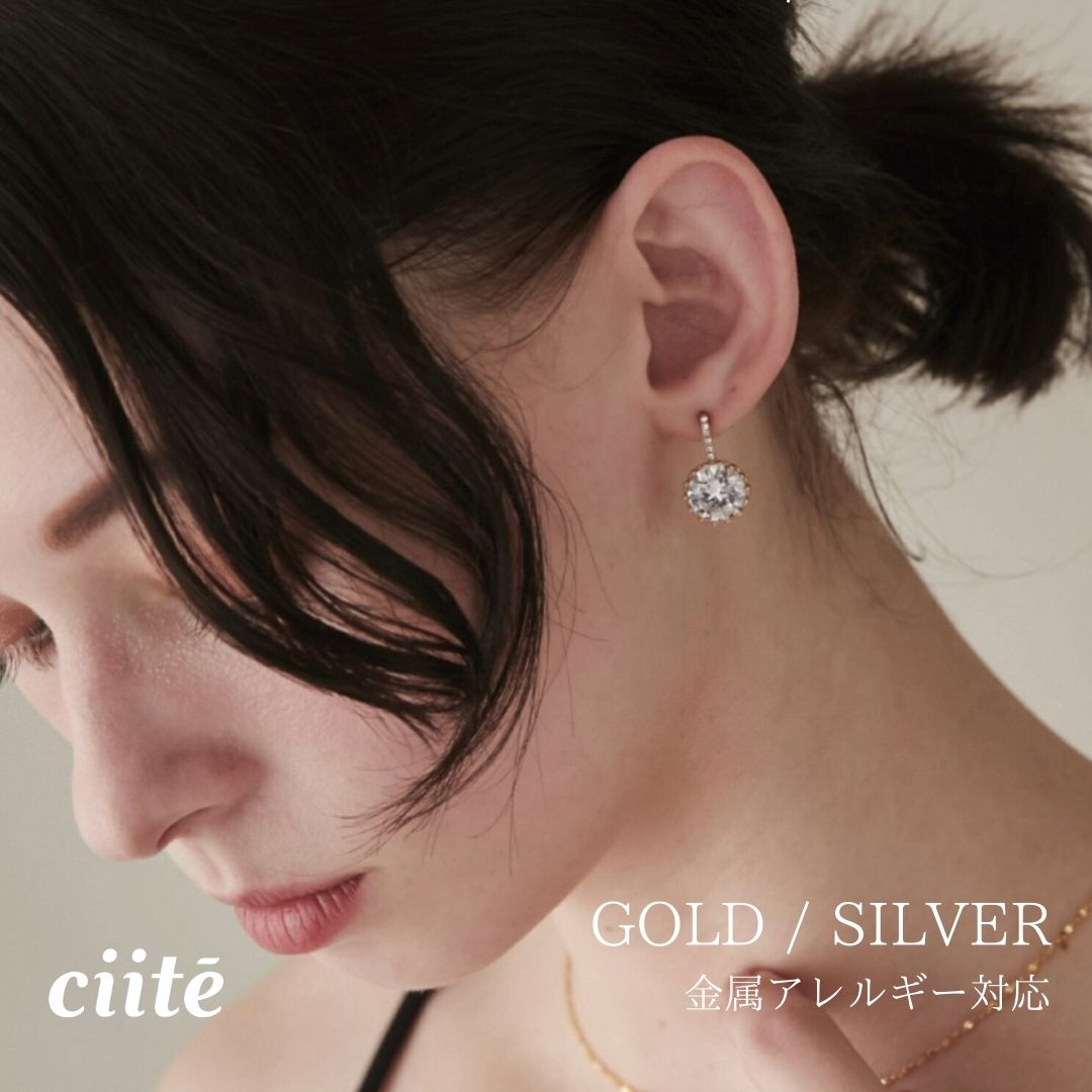 Rakuten - 金属アレルギー対応 ビジューモチーフピアス サージカルステンレス (両耳用) レディース アクセサリー 結婚式 パーティー 誕生日 プレゼント シルバー ゴールド ピンクゴールド シンプル