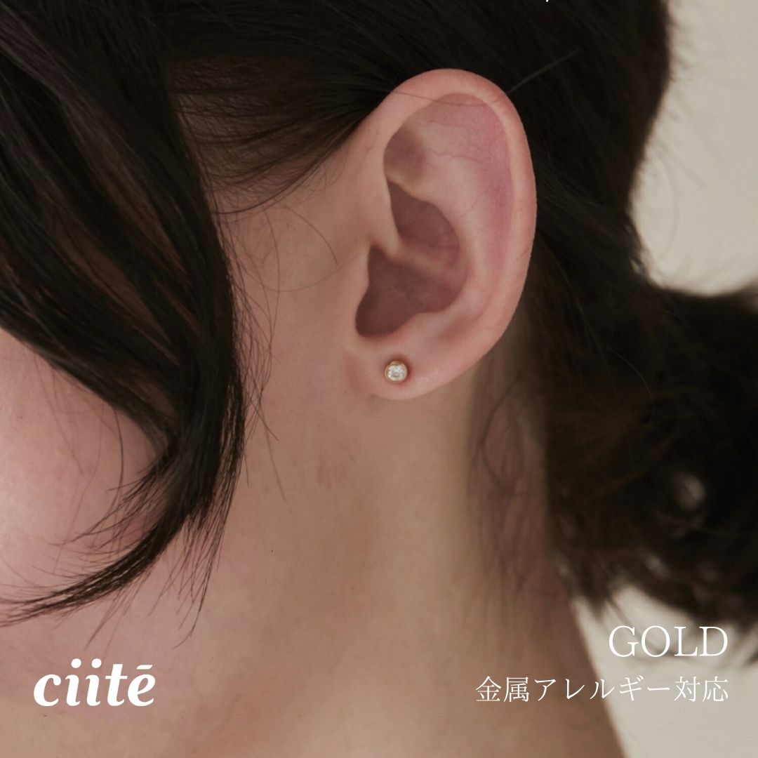 樂天商城 - 金属アレルギー対応 ビジューサークル ミニピアス サージカルステンレス (両耳用) レディース アクセサリー 結婚式 パーティー 誕生日 プレゼント シルバー ゴールド ピンクゴールド シンプル