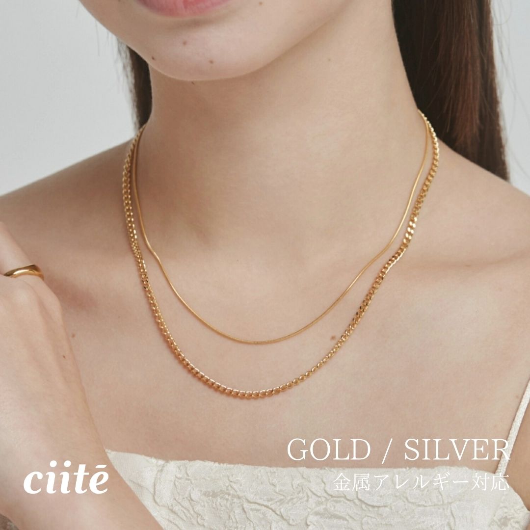 樂天商城 - 金属アレルギー対応 チェーンネックレス 2セット サージカルステンレス （38cm - 43cm, 40cm - 45cm） レディース アクセサリー 結婚式 パーティー 誕生日 プレゼント シルバー ゴールド ピンクゴールド シンプル