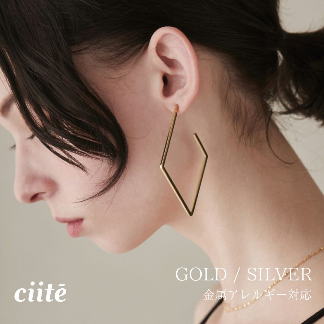 樂天商城 - 金属アレルギー対応 ランバスデザイン ピアス サージカルステンレス (両耳用) レディース アクセサリー 結婚式 パーティー 誕生日 プレゼント シルバー ゴールド ピンクゴールド シンプル