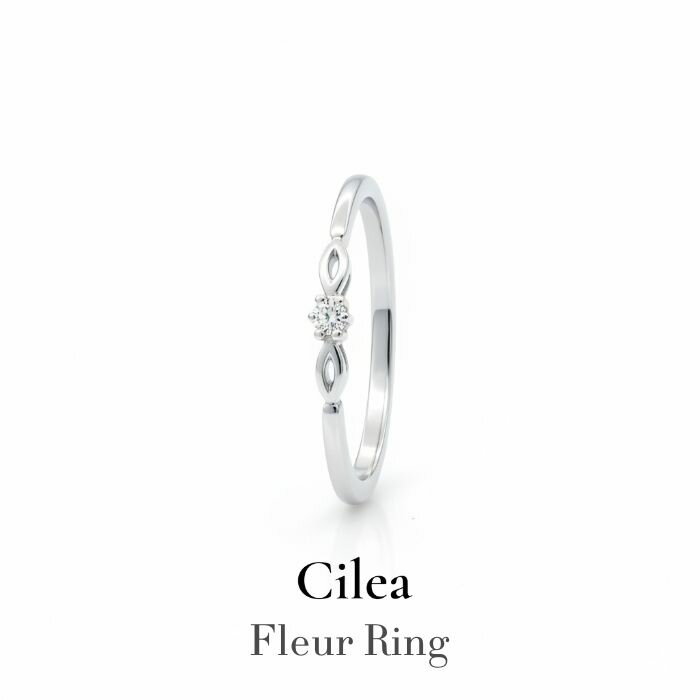 Cilea �ե롼���� K10 �ۥ磻�ȥ������ ��������� ���� �֥������ ��ǥ����� ���� ���� ���� ���֤� Ʃ�������� �Ť��դ� ���ե� �ץ쥼��� ������ ��ǰ�� ������� 20�� 30�� 40�� ���� �͵� ���������꡼ ���奨�꡼