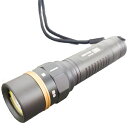 ジェントス LEDフラッシュライト ディオ 500lm 充電式 IP68防水 GENTOS DI-186R
