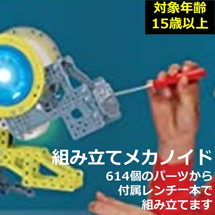 ��������� ������ȥߡ� ����˥ܥå� Meccanoid(�ᥫ�Υ���) G15 TYPE61