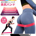 エクササイズバンド トレーニングチューブ 強度別5本セット 高強度 筋トレ ゴムバンド トレーニング ゴムバンド ストレッチ バンド 天然ゴム ダイエット ヨガ トレーニングバンド ピンク 可愛い