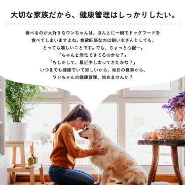 犬 猫 フードボウル 早食い防止 食器 ペットボウル ペットフードボウル ペット用品 ペット食器 ドッグフードボウル キャットフードボウル スローボウル わんちゃん 猫ちゃん