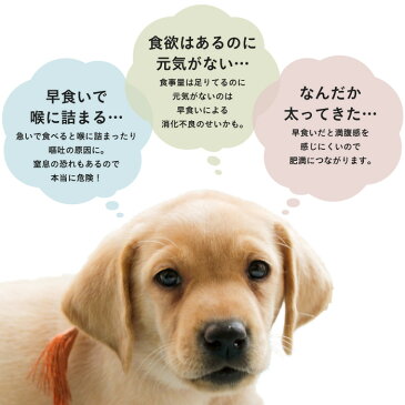 犬 猫 フードボウル 早食い防止 食器 ペットボウル ペットフードボウル ペット用品 ペット食器 ドッグフードボウル キャットフードボウル スローボウル わんちゃん 猫ちゃん