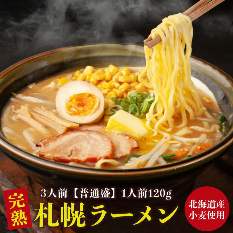 ラーメン 送料無料 北海道 生ラーメン セット 3食 生麺 札幌 熟成 札幌 味噌ラーメン らーめん サッポロラーメン 詰め合わせ 味噌 みそ 塩 醤油 食品 ポイント消化 お取り寄せグルメ