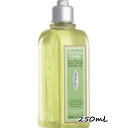 L'OCCITANE(ロクシタン)ミントヴァーベナ ソルベシャワースクラブ 250mL