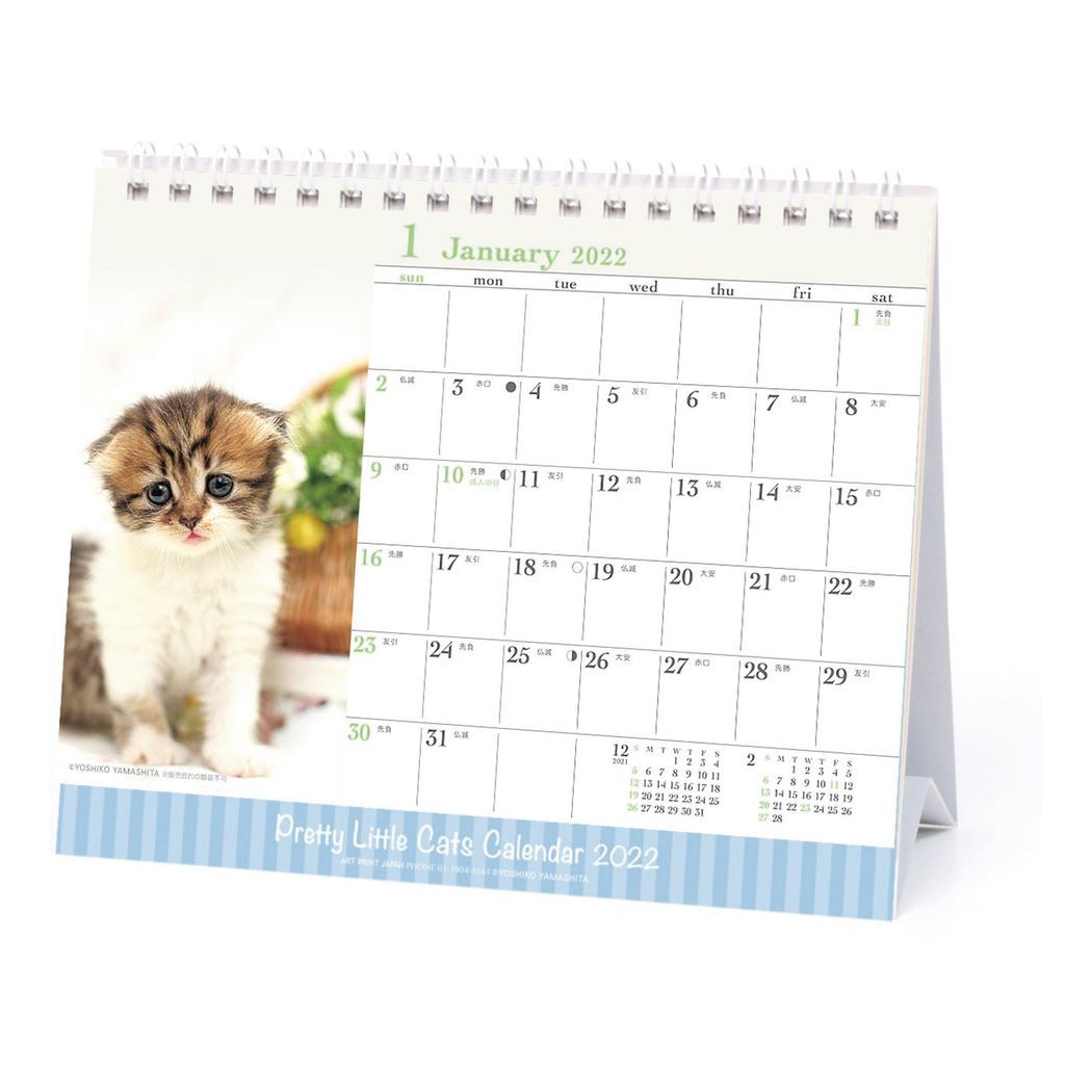 猫カレンダー22 卓上や日めくり 壁掛けなどかわいい人気カレンダーのおすすめプレゼントランキング 予算2 000円以内 Ocruyo オクルヨ