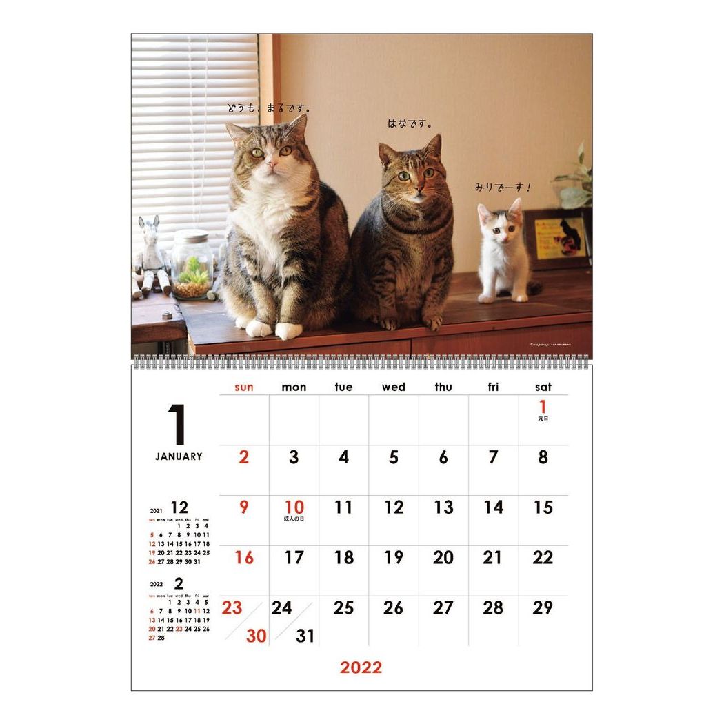 猫カレンダー22 卓上や日めくり 壁掛けなどかわいい人気カレンダーのおすすめプレゼントランキング 予算2 000円以内 Ocruyo オクルヨ