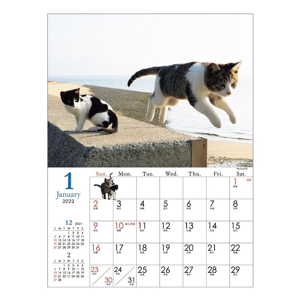 猫カレンダー22 卓上や日めくり 壁掛けなどかわいい人気カレンダーのおすすめプレゼントランキング 予算2 000円以内 Ocruyo オクルヨ