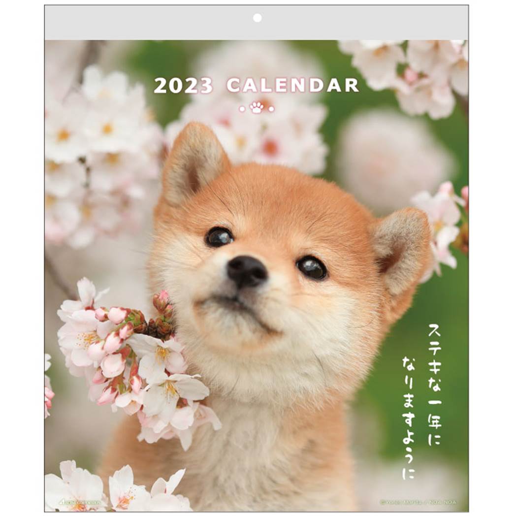 DOGウォールカレンダー 2023 Calendar 壁掛けカレンダー2023年 スケジュール いぬ アクティブコーポレーション 動物写真 書き込み インテリア 令和5年暦 予約 シネマコレクション