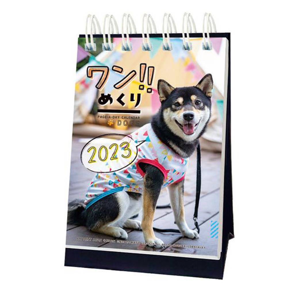 ワン！！めくり 日めくり 2023Calendar 卓上カレンダー2023年 いぬ APJ 動物写真 インテリア 令和5年暦 予約 シネマコレクション