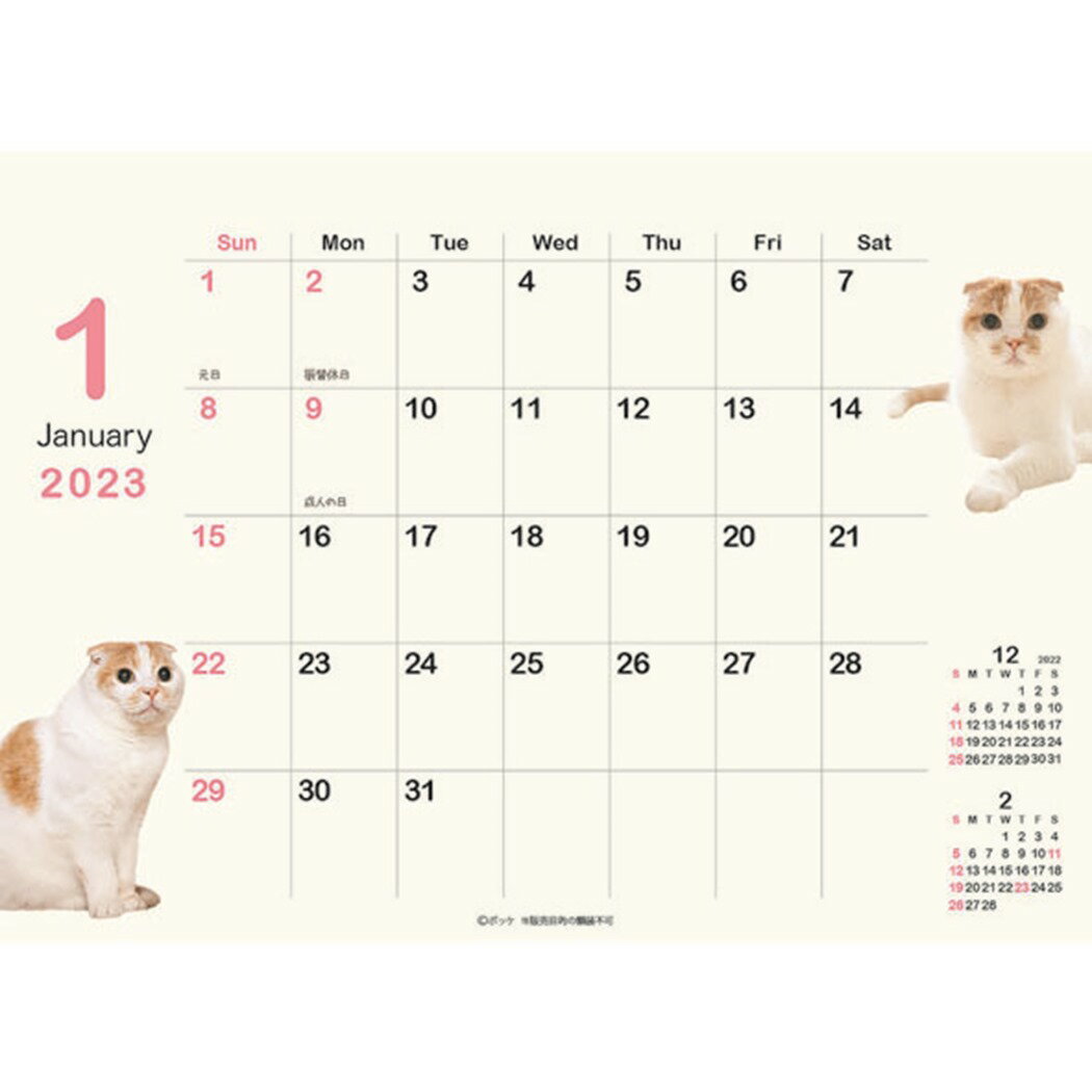 ポッケ 2023Calendar 卓上カレンダー2023年 スケジュール ねこ APJ 動物写真 書き込み インテリア 令和5年暦 予約 メール便可 シネマコレクション