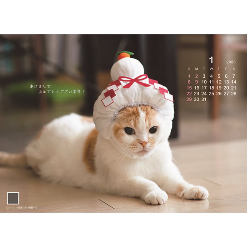 ポッケ 2023Calendar 卓上カレンダー2023年 スケジュール ねこ APJ 動物写真 書き込み インテリア 令和5年暦 予約 メール便可 シネマコレクション