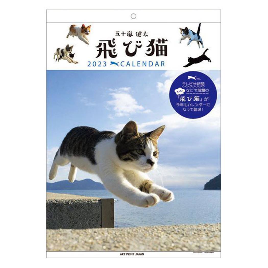 飛び猫 五十嵐健太 2023Calendar 壁掛けカレンダー2023年 スケジュール ねこ APJ 動物写真 書き込み インテリア 令和5年暦 予約 シネマコレクション