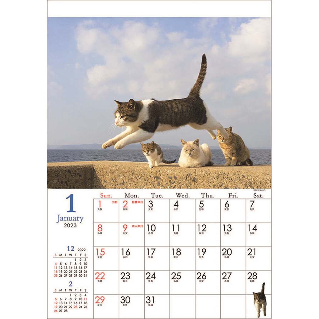 飛び猫 五十嵐健太 2023Calendar 壁掛けカレンダー2023年 スケジュール ねこ APJ 動物写真 書き込み インテリア 令和5年暦 予約 シネマコレクション