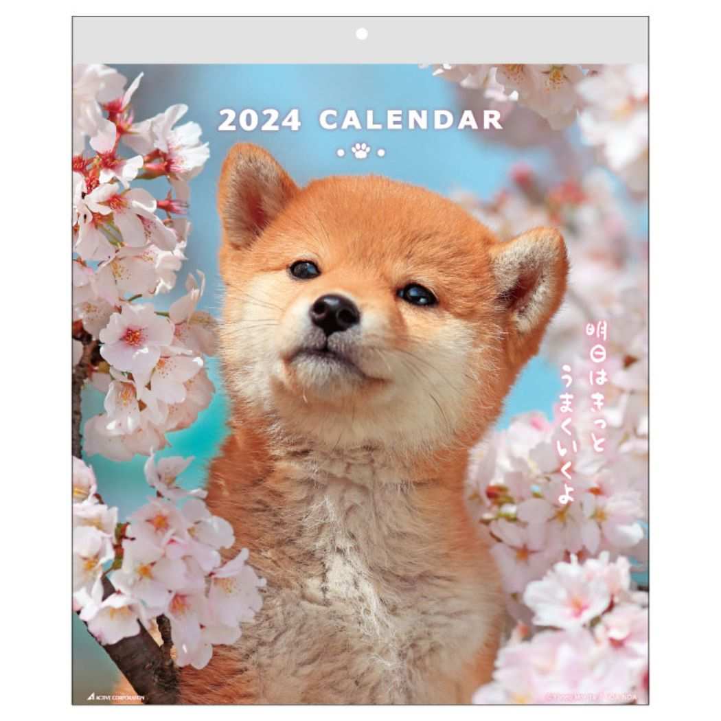 DOGウォールカレンダー 2024 Calendar 壁掛けカレンダー2024年 スケジュール いぬ アクティブコーポレーション 動物写真 書き込み インテリア 令和6年暦 シネマコレクション