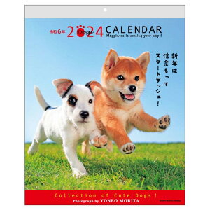 森田米雄 メッセージカレンダーDOG 2024 Calendar 壁掛けカレンダー2024年 スケジュール いぬ アクティブコーポレーション 動物写真 書き込み インテリア 令和6年暦 シネマコレクション