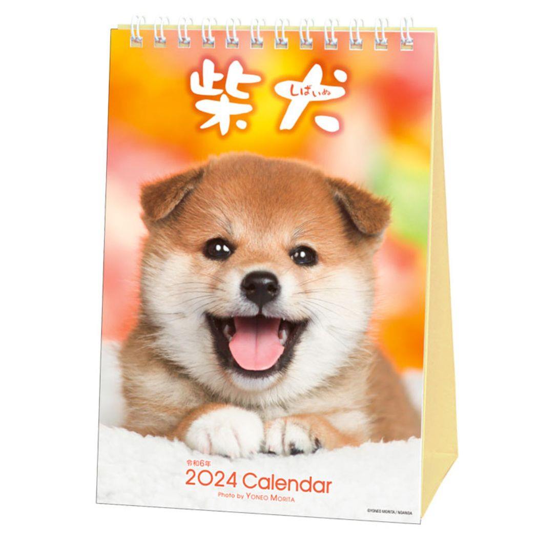 森田米雄 まるごと柴犬 2024 Calendar 卓上カレンダー2024年 スケジュール いぬ アクティブコーポレーション 動物写真 書き込み インテリア 令和6年暦 メール便可 シネマコレクション