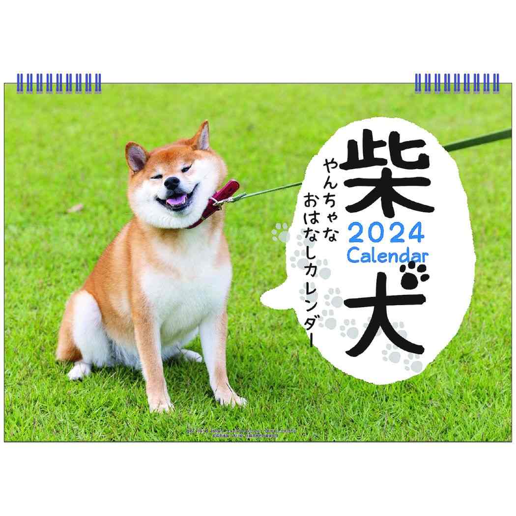 柴犬やんちゃなおはなしカレンダー B5 2024Calendar 壁掛けカレンダー2024年 いぬ APJ 動物写真 書き込み インテリア 令和6年暦 シネマコレクション