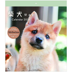 仔犬 柴犬 関由香 30角 2024Calendar 壁掛けカレンダー2024年 スケジュール いぬ APJ 動物写真 書き込み インテリア 令和6年暦 シネマコレクション