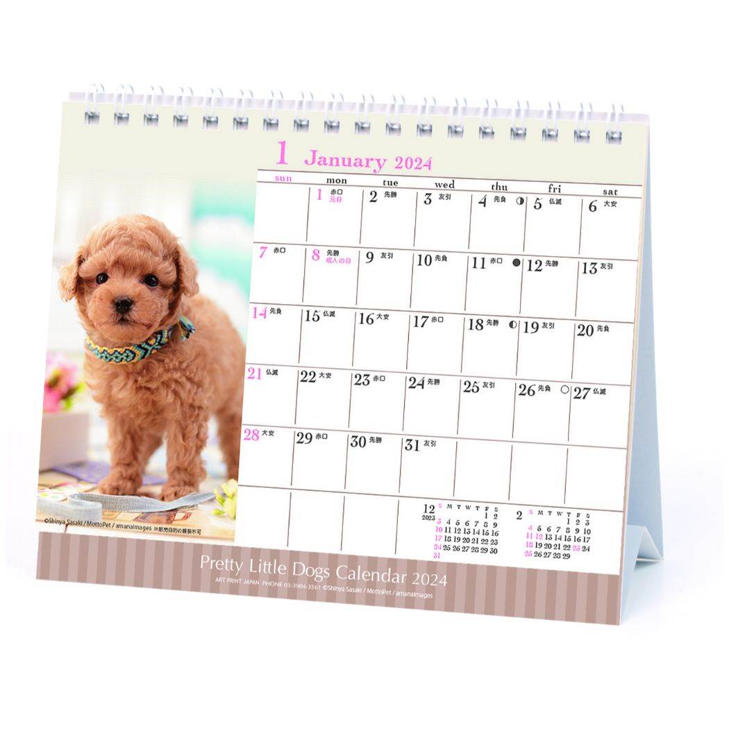 仔犬 卓上 2024Calendar 卓上カレンダー2024年 スケジュール いぬ APJ 動物写真 書き込み インテリア 令和6年暦 メール便可 シネマコレクション