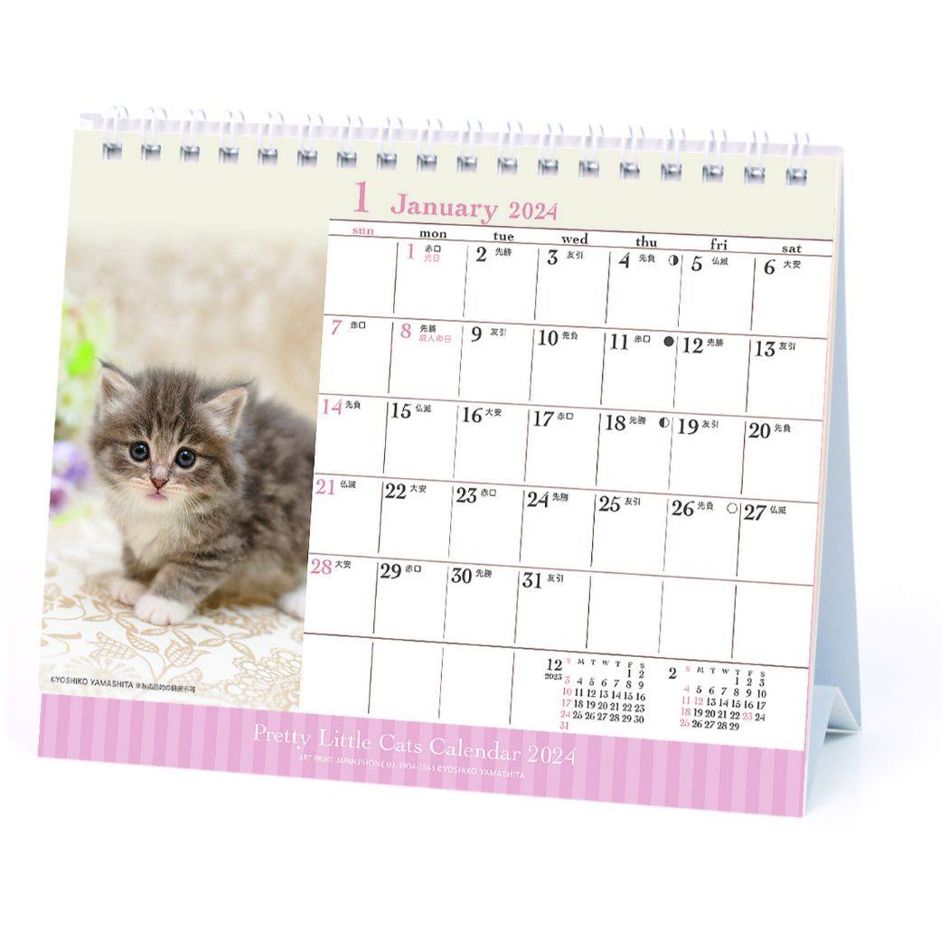 仔猫 卓上 2024Calendar 卓上カレンダー2024年 スケジュール ねこ APJ...