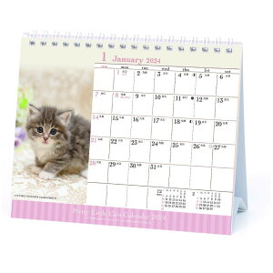 仔猫 卓上 2024Calendar 卓上カレンダー2024年 スケジュール ねこ APJ 動物写真 書き込み インテリア 令和6年暦 予約 メール便可 シネマコレクション