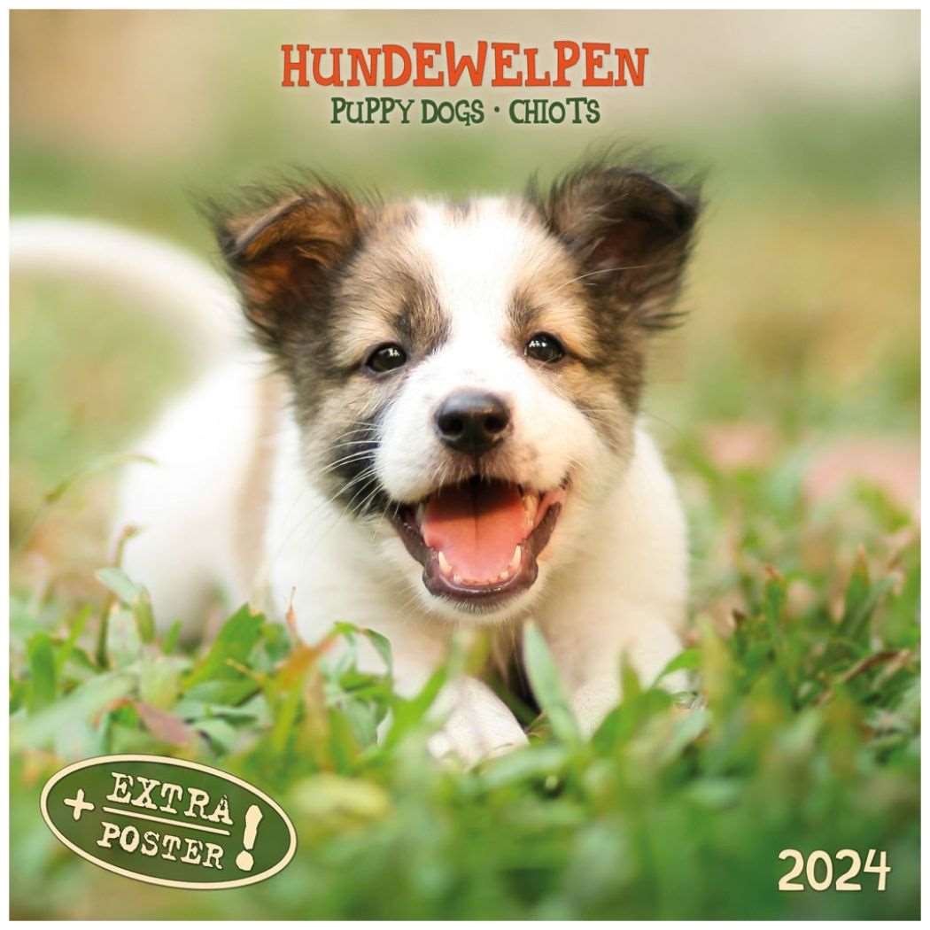 artwork STUDIOS グッズ 2024 Calendar 壁掛けカレンダー2024年 Puppy Dogs/Hundewelpen いぬ 写真 動物 インテリア 令和6年暦 シネマコレクション