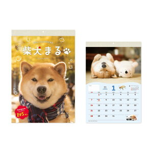 柴犬まる 壁掛け 小 2024Calendar 壁掛けカレンダー2024年 スケジュール いぬ 新日本カレンダー 動物写真 書き込み インテリア 令和6年暦 シネマコレクション