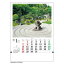 和風の庭 2024 Calendar 壁掛けカレンダー2024年 トーダン 写真 日本風景 インテリア 令和6年暦 シネマコレクション