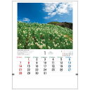 {̎R쑐 2024 Calendar Ǌ|J_[2024N tHg g[_ ʐ^  CeA ߘa6N Vl}RNV