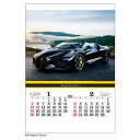 トーハン DX スーパー スポーツカー 2025 Calendar 壁掛けカレンダー2025年 フィルム フォト トーダン 写真 趣味 車 インテリア 令和7年...