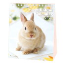 Sweet Rabbit 2026 Calendar 卓上カレンダー2026年 スケジュール うさぎ アクティブコーポレーション 動物写真 書き込み インテリア 令和8年暦 メール便可 シネマコレクション