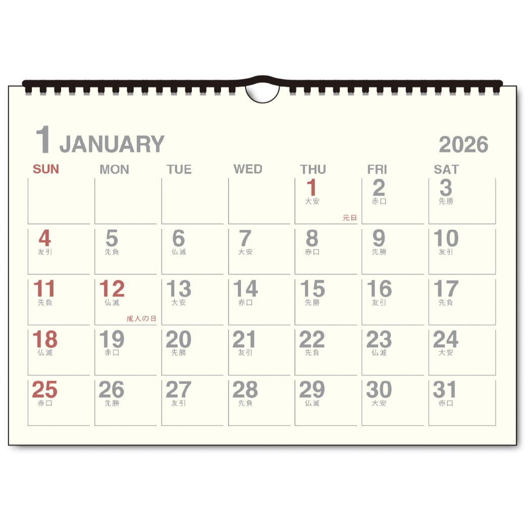 饯Υͥޥ쥯㤨DAYSTATION A4ɳݤ 2026Calendar ɳݤ2026ǯ ܥ꡼ 塼 APJ 񤭹  ͽɽ ץ ե 8ǯ ᡼ز ͥޥ쥯פβǤʤ659ߤˤʤޤ