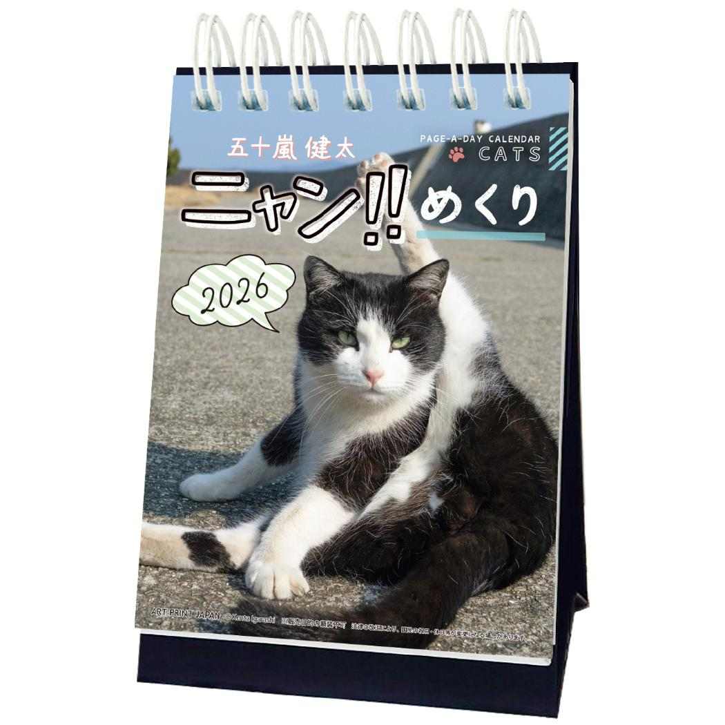 ニャン めくり 五十嵐健太 2026Calendar 卓上カレンダー2026年 日めくり ねこ APJ 動物写真 インテリア 令和8年暦 シネマコレクション