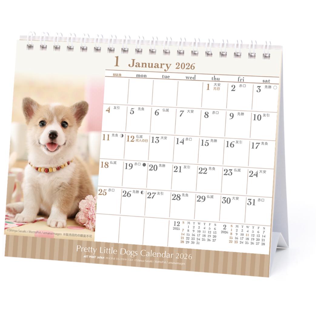 仔犬 2026Calendar 卓上カレンダー2026年 卓上 スケジュール いぬ APJ 動物写真 書き込み インテリア 令和8年暦 メール便可 シネマコレク...