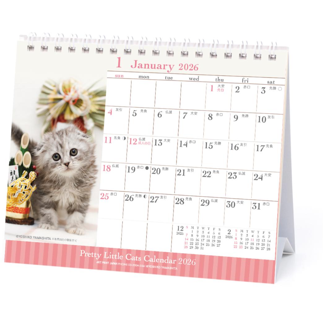 仔猫 2026Calendar 卓上カレンダー2026年 卓上 スケジュール ねこ APJ 動物写真 書き込み インテリア 令和8年暦 メール便可 シネマコレク...