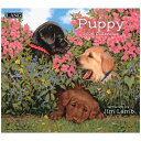LANG ラング 2026 Calendar 壁掛けカレンダー2026年 Puppy Jim Lamb カントリー いぬ インテリア 令和8年暦 シネマコレクション