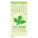 グリーン3ヶ月eco 日付マーカー付 2026 Calendar 壁掛けカレンダー2026年 上から順タイプ トーダン ビジネス オフィス スケジュール 実用 ...