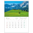 緑の物語 ヨーロッパ風景 2026 Calendar 壁掛けカレンダー2026年 フォト トーダン 写真 世界風景 インテリア 令和8年暦 シネマコレクション